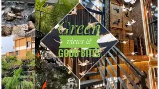 Green views & good bites 🕊️🌿🐟- Rave buffet & Rooftop restaurant 