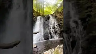 Memories 2025 #nature #india  #desi #viral  #viralshorts  # #hiking #travel #nature #2026 #hope