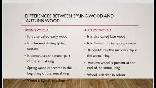 Wood anatomy