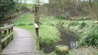 Avenham Park