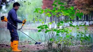 INGCO Lithium-Ion String Trimmer And Brush Cutter CSTLI20018