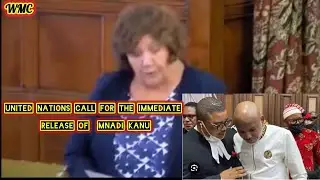 United Nations Called For The Immediate Release Of Nnadi Kanu Nigeria Government Kidnapped fromKenya