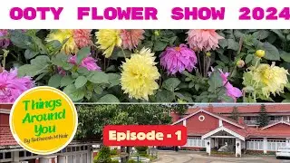 OOTY FLOWER SHOW 2024 |  ഊട്ടി ഫ്ലവർഷോ 2024 | West Downs Heritage Resort #ootyflowershow #ooty