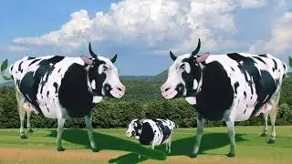 FUNNY COW DANCE 4 │ Cow Song & Cow Videos 2023 #Trending #viral