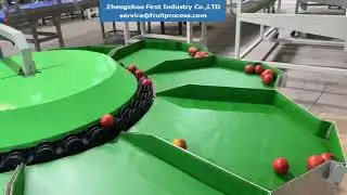 Electronic tomato sorting machine