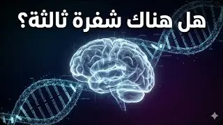 إذا كشفنا شفرة الوعي… هل نفك لغز العقل؟🤔