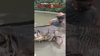 bhut khtrnak fish hai bhai🥶🤯.. #fanye #animals #facts #vido #wildlife #fish🥶🥶🤯😱😱😱😱