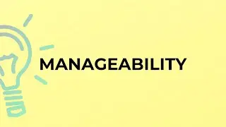 What is the meaning of the word MANAGEABILITY?