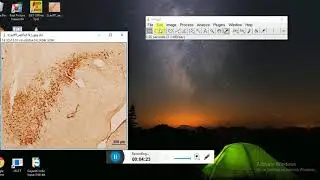 Optical Density Using ImageJ