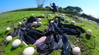 wow amazing fishing skills - a fisherman catch a lot of fish & pick eggs duck by hand