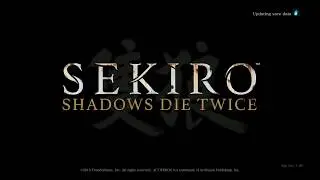 Sekiro: Shadows Die Twice PC Options