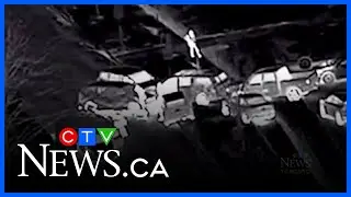 Toronto police release video of violent carjacking takedown