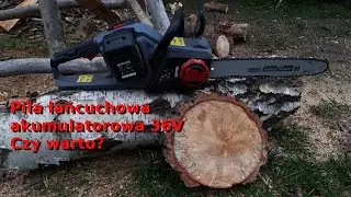 Pilarka łańcuchowa akumulatorowa. Do czego się nadaje? Czy warto ją kupić?