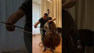 Dittersdorf concerto mov 1, cadenza et mov 2