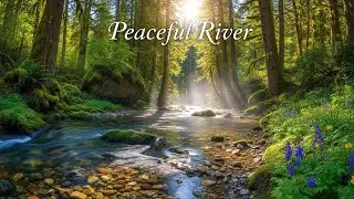 River Stream Sounds 🌊 Relaxing Water Ambience for Sleep and Stress Relief #1962