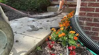 Concrete Leveling Concrete Mudjacking Sidewalk