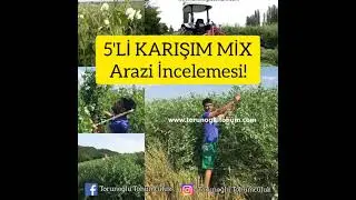 5'Lİ KARIŞIM MİX ARAZİ İNCELEME - ÇİFTÇİ DÜŞÜNCELERİ!