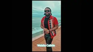 Jiwelo - Mon Petit Chat - REGGAETON EN FRAN&Ccedil;AIS 2 (visualizer)  #reggaeton