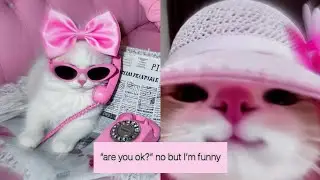 everyone loves me!! 🎀 | HIGH FREQUENCY FUN ENERGY  