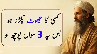 If you want to catch someone lying ask 3 questions | Urdu Quotes Golden Words | Life Changing Quotes