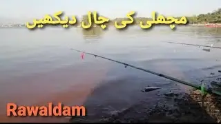 Amazing hook | Machli ki chaal | Rawaldam Fishing | Sheikh Basit Fishing
