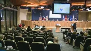 How did the new 10-1 Austin City Council do after the first year?