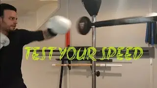 SPEED TEST BOXING REFLEX BAR