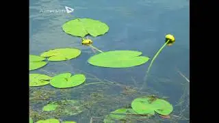 Müritz Natur