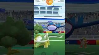5 Kyogre Raids Hunting Shinies In #pokemongo