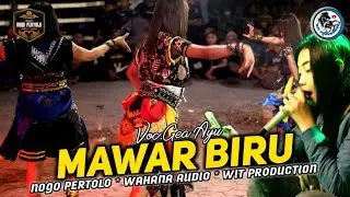 MAWAR BIRU - Voc.Gea Ayu X Tarisa Kasol Ft Jaranan Nogo Pertolo Live Bondrang Sawo