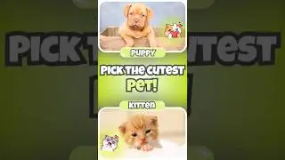 🥰🐾 Would You Rather? Cutest Animal Face-Off Ever! 🐶🐱 #new #quiz #pet #dog #cute #cat #wouldyourather