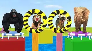 Wild Animals Running And Jumping Obstacle Game With Tiger Gorilla Lion Elephant Wild Animal Games