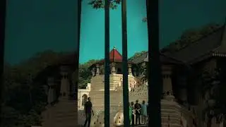 Temple Of Tooth 🤍  #fypppp #viral #subscribe #kandy #travel #shortsviral