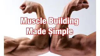 Muscle Building Made Simple
