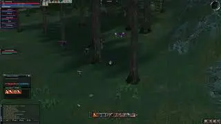 Lineage 2 Elmorelab C1   YES PVP Manifesto Mage PVP