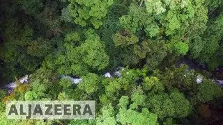 🇨🇷 Costa Rica's reforestation efforts promising