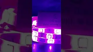Tuje kitna chahne lage hum || Onbeat