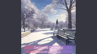Wintry Forest's Gentle Glow (KeyB Ver.)