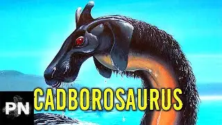 CADBOROSAURUS - Cryptid Campfire Video Podcast