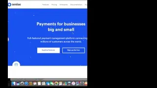 Omisego Whitepaper Chat, EOS and SingularDTV Comments