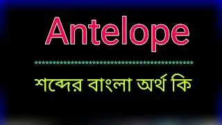 What is the meaning of the word Antelope? Antelope meaning in bangla | Antelope meaning in bangla...