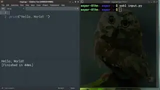 4: Using Sublime Text and Running Scripts - Python Programming Basics