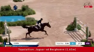 Jaguar vd Berghoeve (Emerald x Nabab de Reve)