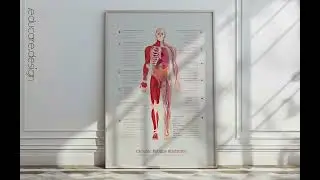 Chronic Fatigue Syndrome Chart from www.educare.design