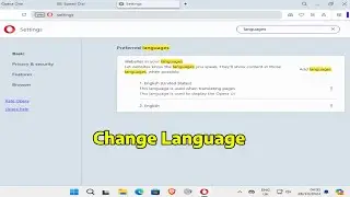 How To Change Opera Browser Language