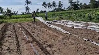 TIPS FOR EFFICIENT PLASTIC MULCH INSTALLATION ON RIDGES USING CREATIVE TOOLS!   -Agriculture Farming