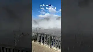 Breathtaking view of geothermal park in Rotorua😍🇳🇿#new zealand #thermal#travel#shorts#ytshorts