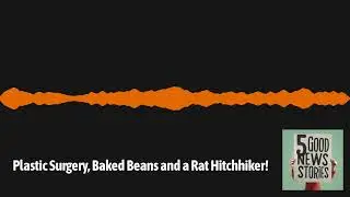 Plastic Surgery, Baked Beans and a Rat Hitchhiker! | 5 Good News Stories