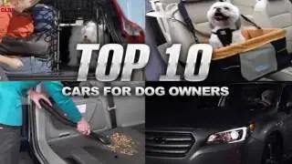 Top 10 Dog-Friendly Cars and Crossovers | News 365 Daily