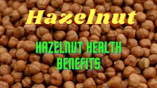 Hazelnut. The benefits of hazelnuts for the body